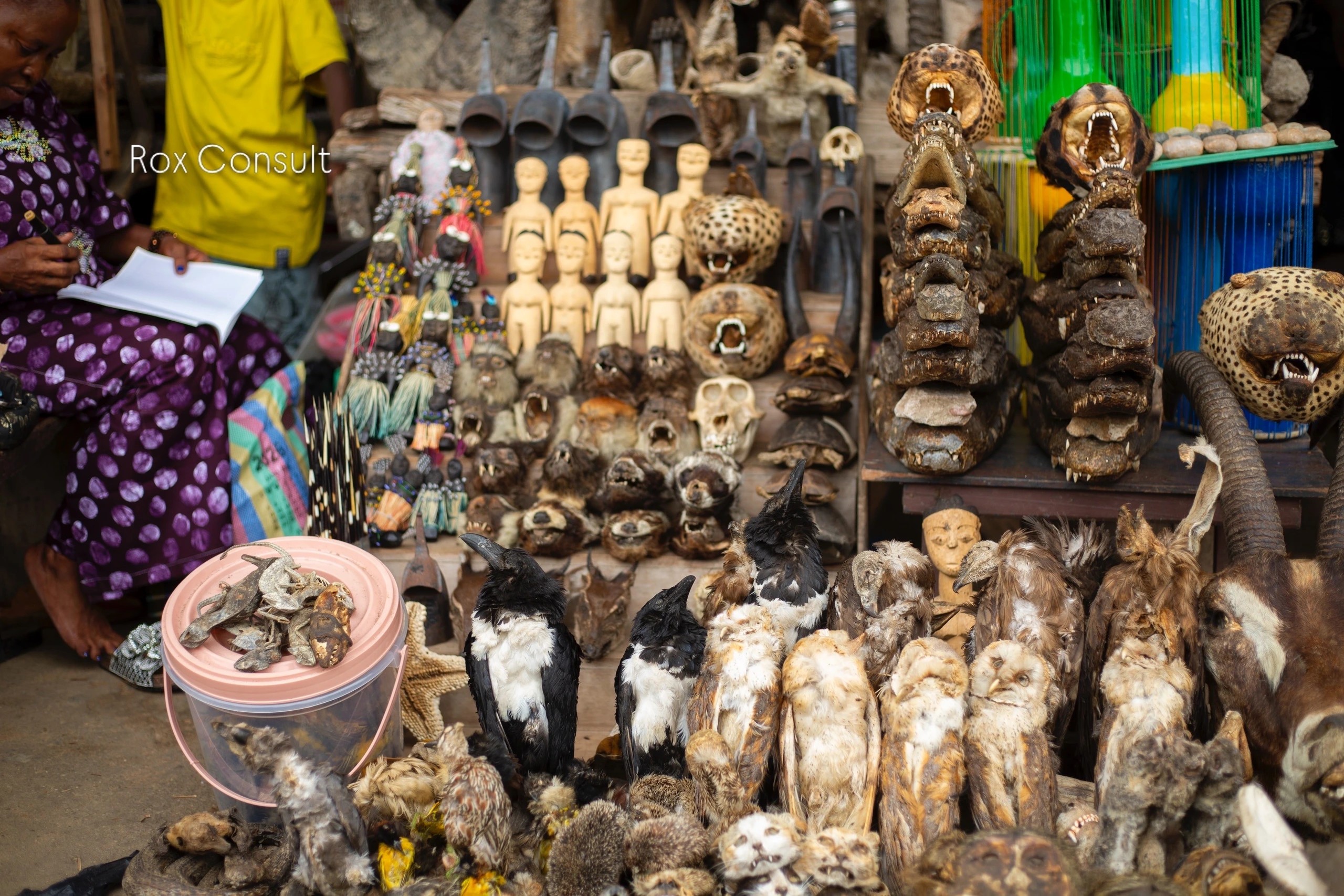 A Weekend in Togo - Image 10
