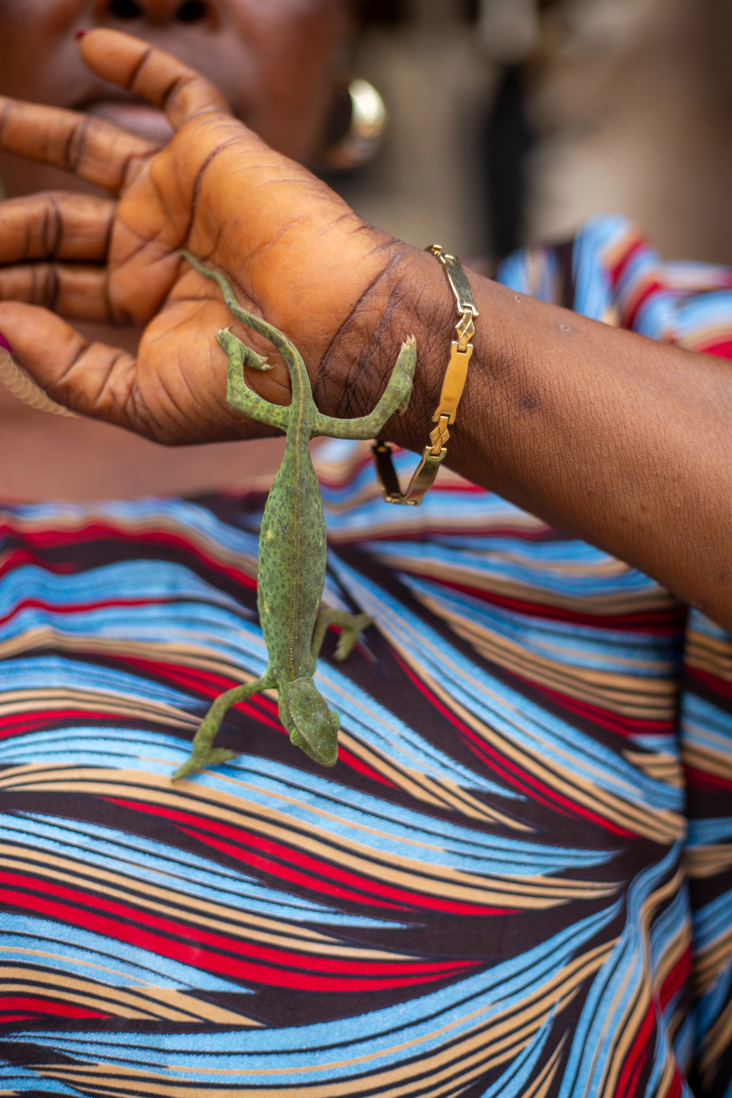 A Weekend in Togo - Image 12