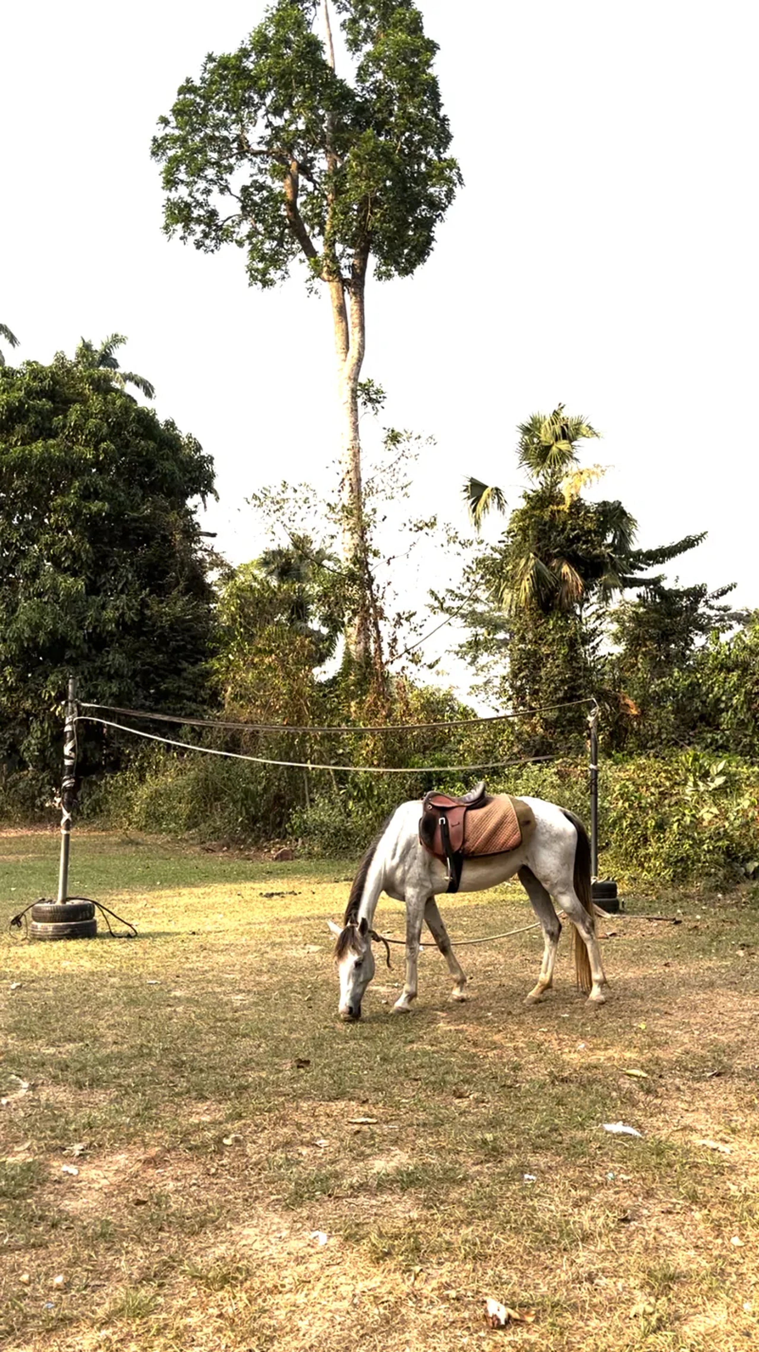 Bunso Eco Park - Image 2