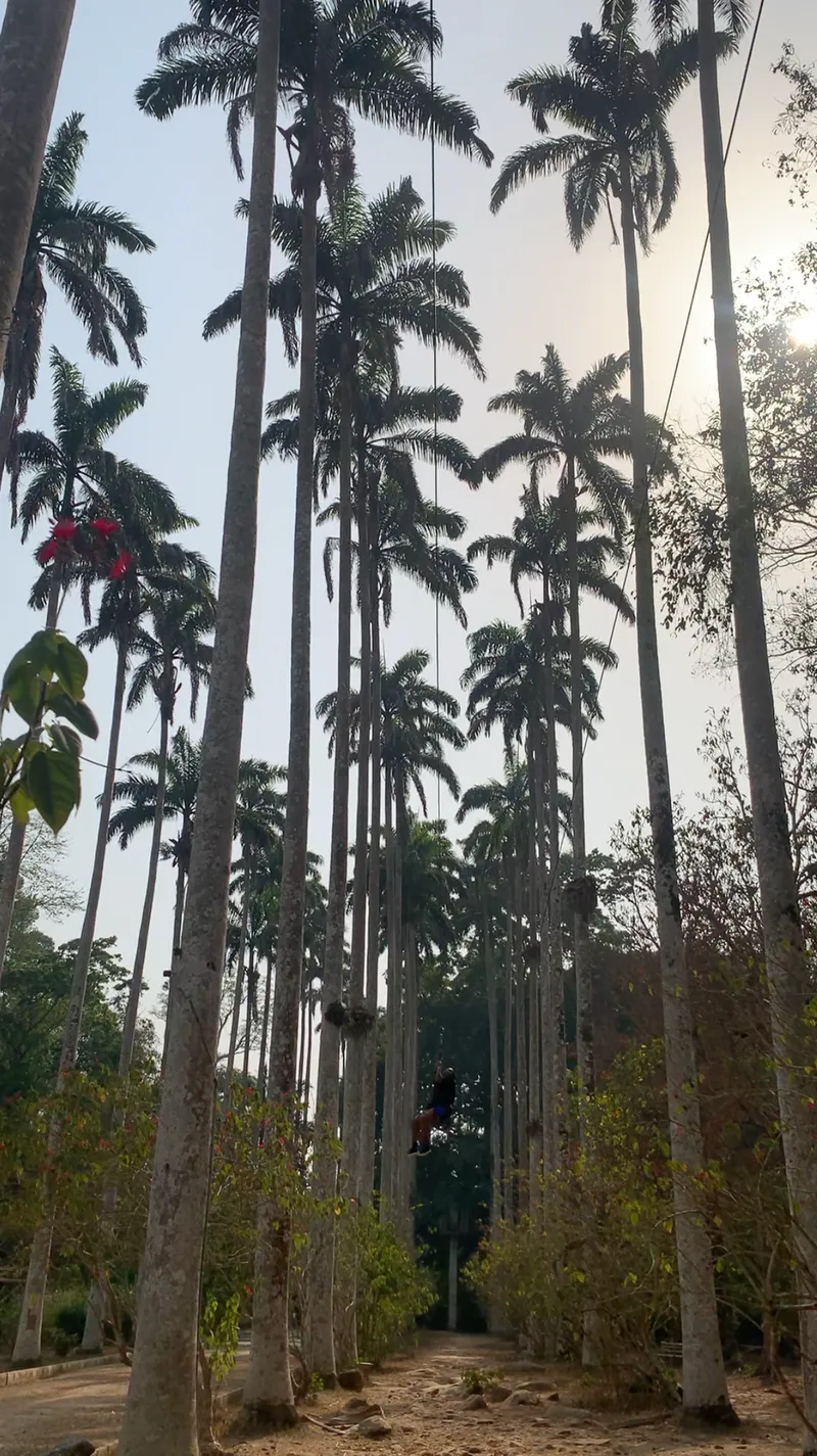 Bunso Eco Park - Image 3