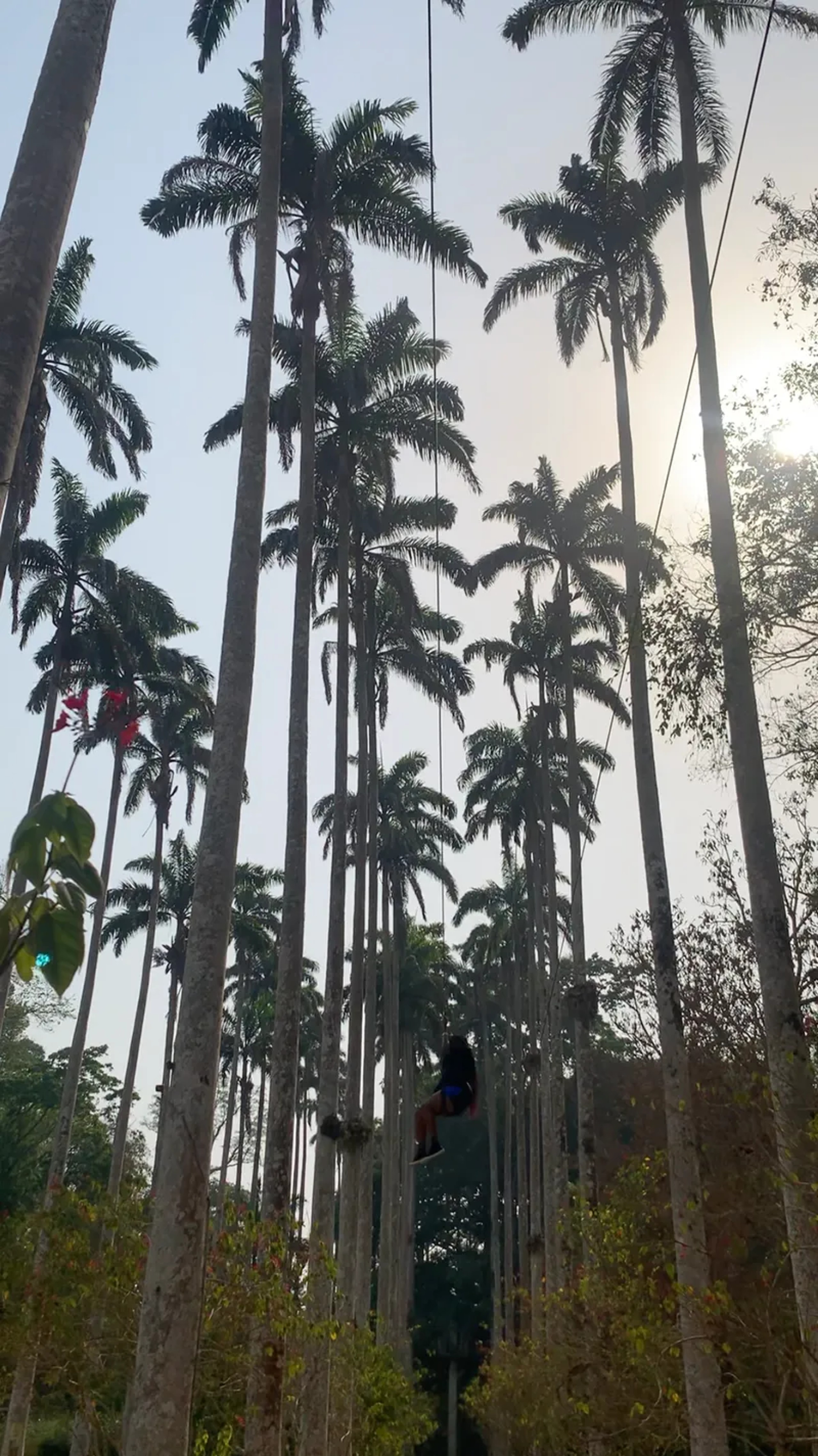 Bunso Eco Park - Image 4